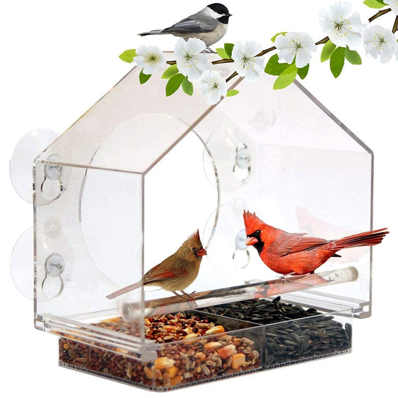 myhomenow.ch Garten Birdcage Vogel Feeder Kamera Live Vogel Feeder Cam Vogel Buddy Smart Vogel Feeder Mit Kamera