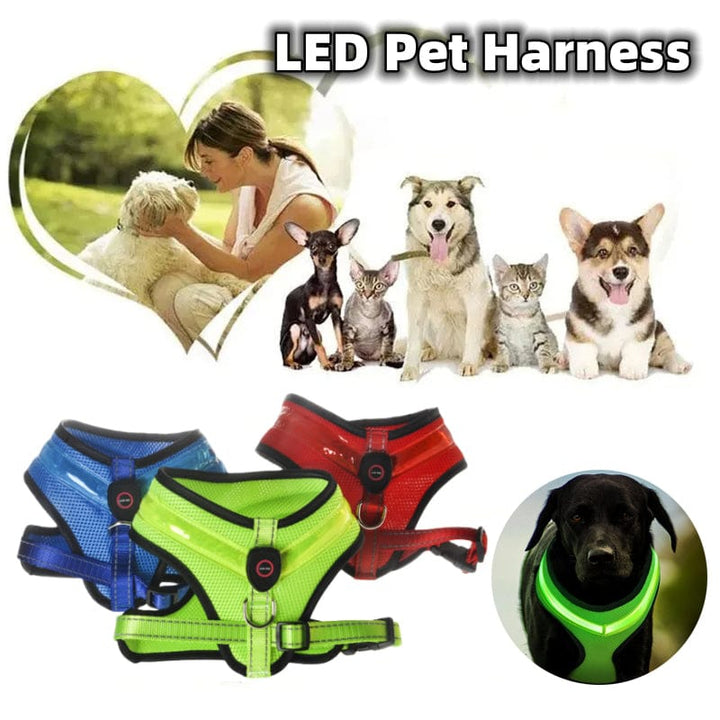 myhomenow.ch Haushalt LED Luminous Dog Harness Led USB Charging Dog Chest Strap Vest Pet Safety Reflective Harness Pet Vest For Puppy Large Dog Pet Products