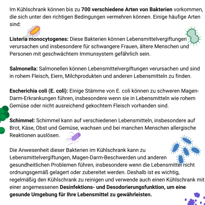 myhomenow.ch Haushalt Ozongerät zur Desinfektion und Desodorierung