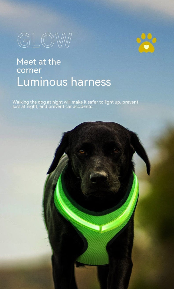 myhomenow.ch Haushalt LED Luminous Dog Harness Led USB Charging Dog Chest Strap Vest Pet Safety Reflective Harness Pet Vest For Puppy Large Dog Pet Products