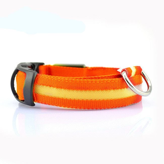 myhomenow.ch Haushalt Orange / XS LED Sicherheitshundehalsband