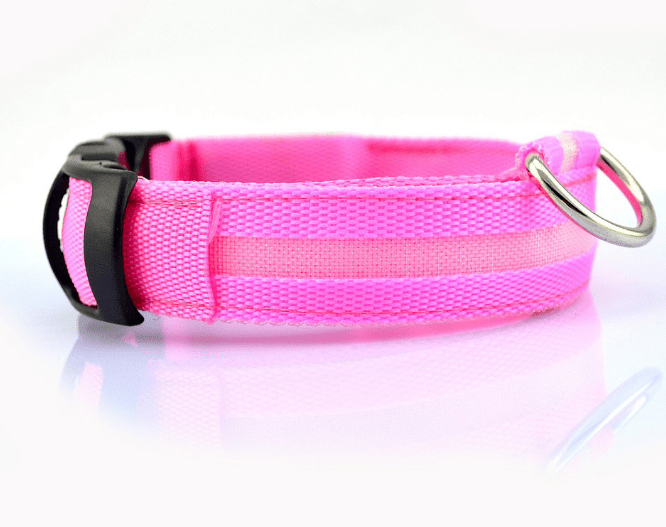 myhomenow.ch Haushalt Rosa / XS LED Sicherheitshundehalsband