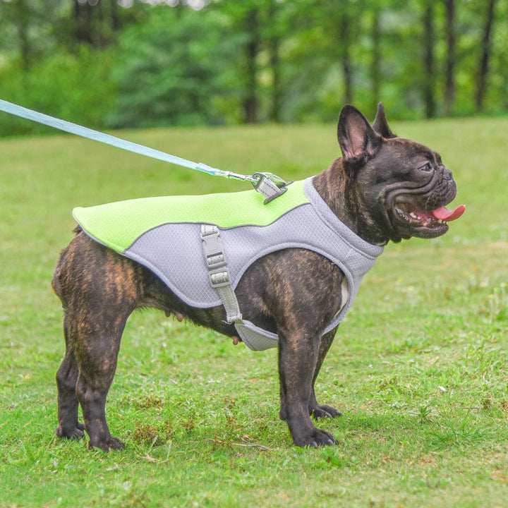 myhomenow.ch Haustier Sommer Haustier Hund Kühl weste Hitze beständige coole Hunde Kleidung Atmungsaktive sonnen dichte Kleidung für kleine große Hunde Outdoor-Walking