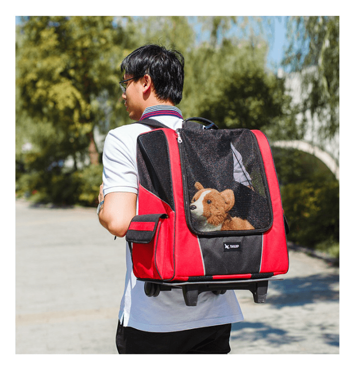 myhomenow.ch Haustier Red / M Kleine Pet Rad Träger Hund Katze Tragbare Kinderwagen Rucksack Atmungsaktiv Puppy Roller Gepäck Auto Reise Transport Tasche