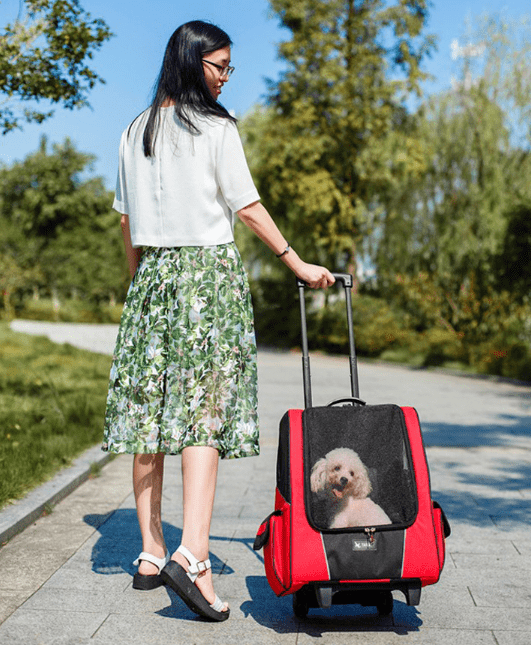 myhomenow.ch Haustier Red / M Kleine Pet Rad Träger Hund Katze Tragbare Kinderwagen Rucksack Atmungsaktiv Puppy Roller Gepäck Auto Reise Transport Tasche