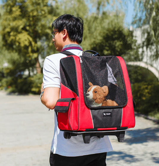 myhomenow.ch Haustier Red / M Kleine Pet Rad Träger Hund Katze Tragbare Kinderwagen Rucksack Atmungsaktiv Puppy Roller Gepäck Auto Reise Transport Tasche